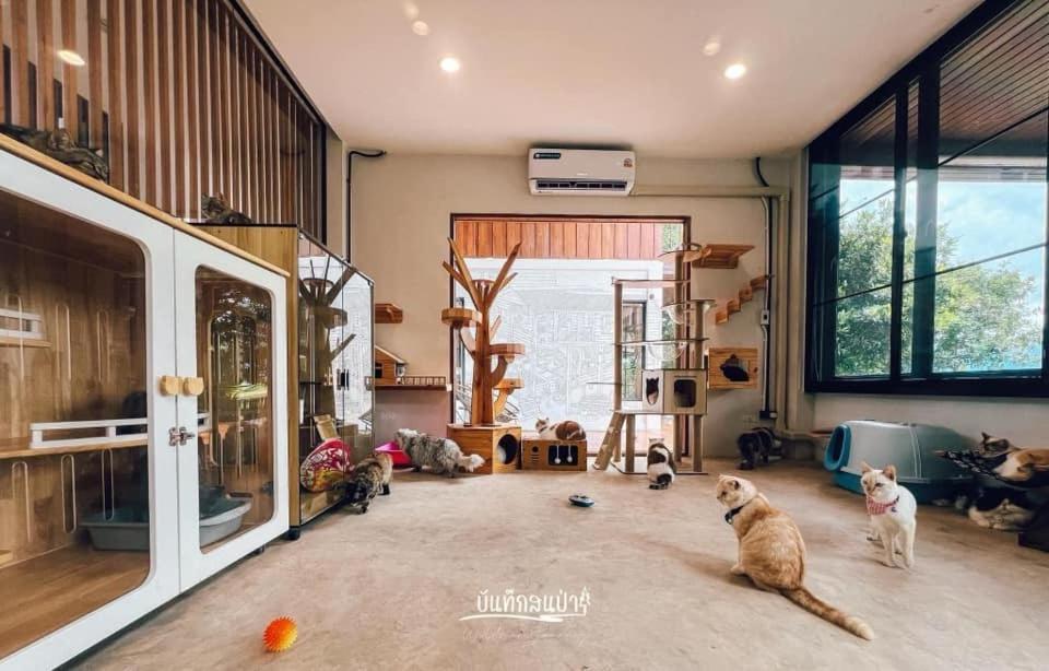 Amaze At Themyth Apartment แม่ริม ภายนอก รูปภาพ